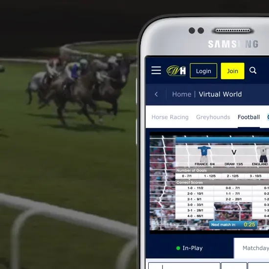 Virtual World summary